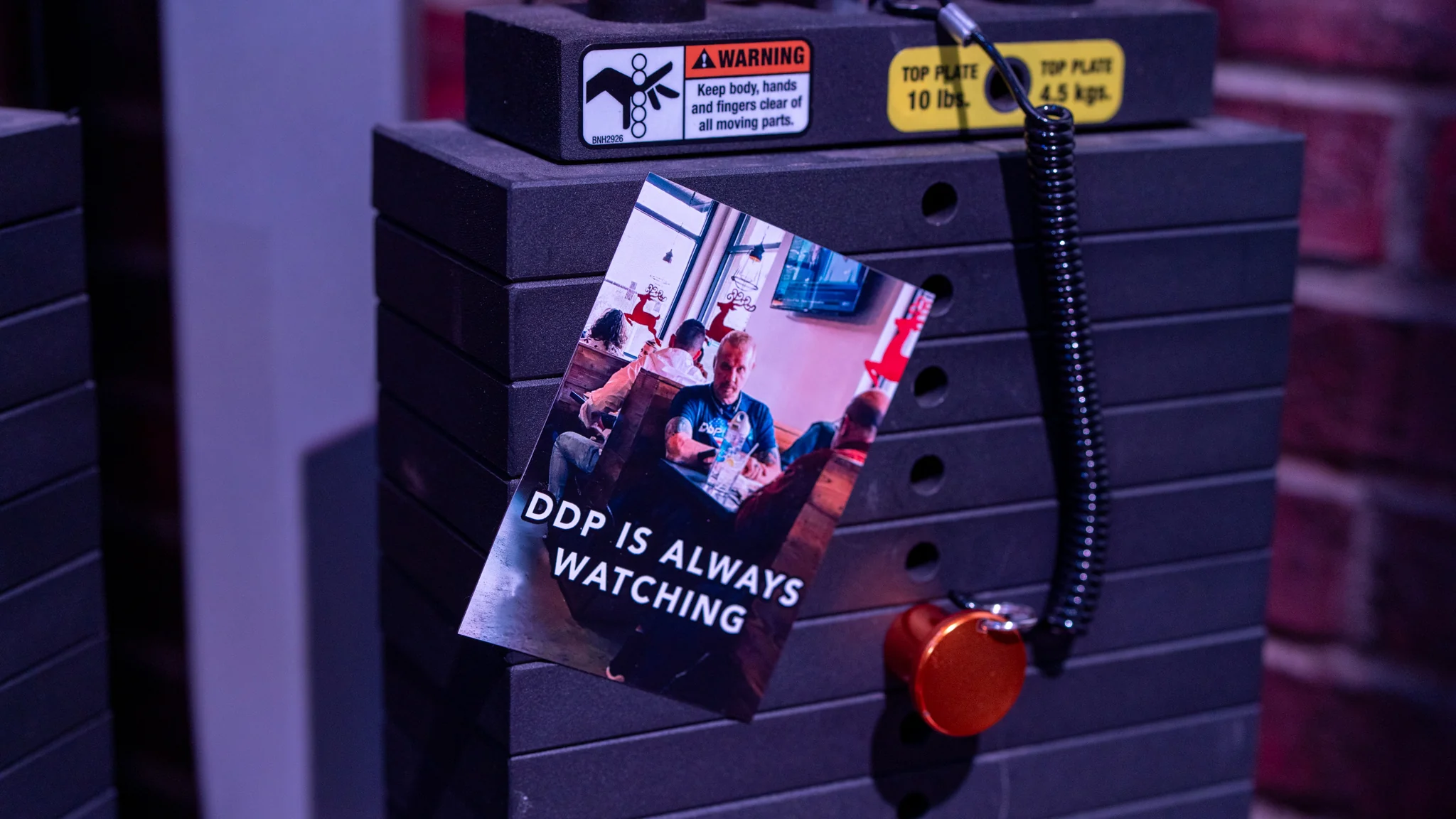 DDP Magnet - Image 3